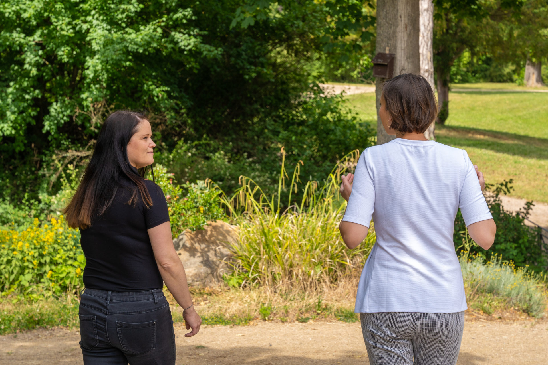 gesundheits- und krankenpfleger ludwigshafen