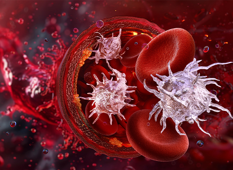 Kraftlos und krank? So helfen kleines und großes Blutbild